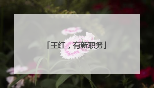 王红，有新职务
