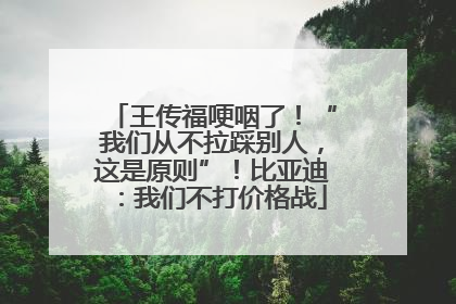 王传福哽咽了！“我们从不拉踩别人，这是原则”！比亚迪：我们不打价格战