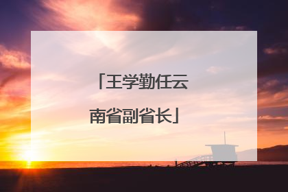王学勤任云南省副省长
