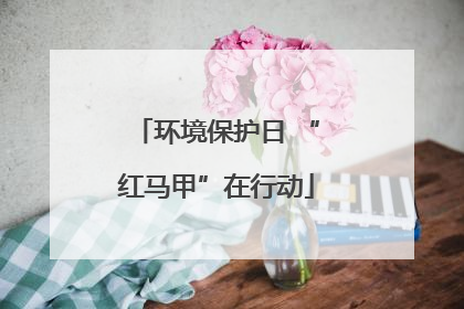 环境保护日 “红马甲”在行动