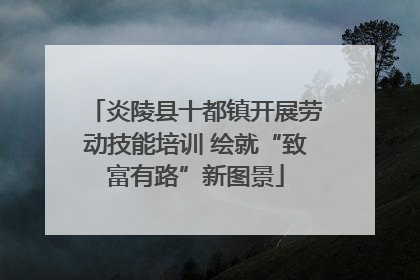 炎陵县十都镇开展劳动技能培训 绘就“致富有路”新图景