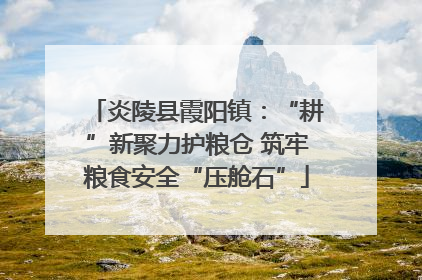 炎陵县霞阳镇：“耕”新聚力护粮仓 筑牢粮食安全“压舱石”