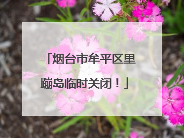 烟台市牟平区里蹦岛临时关闭！