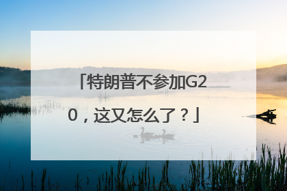 特朗普不参加G20，这又怎么了？