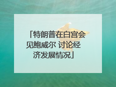 特朗普在白宫会见鲍威尔 讨论经济发展情况