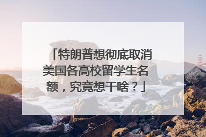 特朗普想彻底取消美国各高校留学生名额，究竟想干啥？