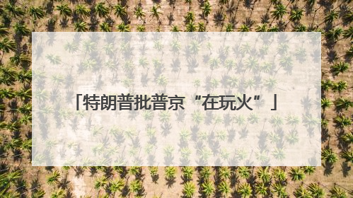 特朗普批普京“在玩火”