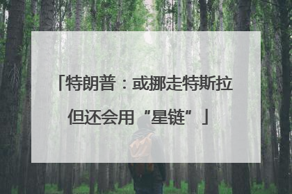 特朗普：或挪走特斯拉 但还会用“星链”