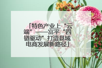 特色产业上“云端”——富平“四链驱动”打造县域电商发展新路径
