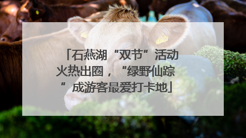 石燕湖“双节”活动火热出圈，“绿野仙踪”成游客最爱打卡地