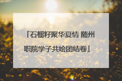 石榴籽聚华夏情 随州职院学子共绘团结卷