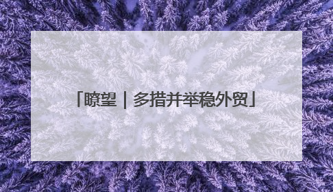 瞭望｜多措并举稳外贸