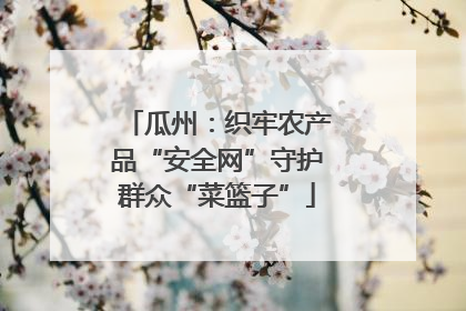 瓜州：织牢农产品“安全网”守护群众“菜篮子”