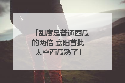 甜度是普通西瓜的两倍 襄阳首批太空西瓜熟了