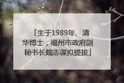 生于1989年、清华博士，福州市政府副秘书长魏志谋拟提拔