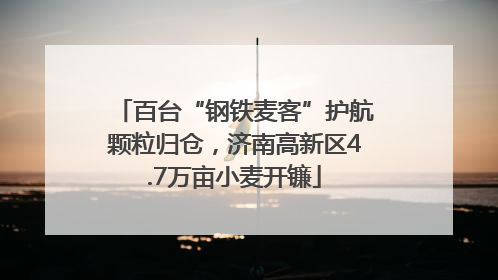 百台“钢铁麦客”护航颗粒归仓，济南高新区4.7万亩小麦开镰