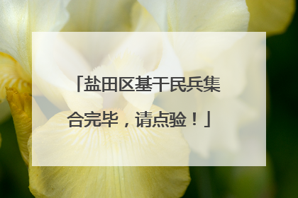 盐田区基干民兵集合完毕，请点验！