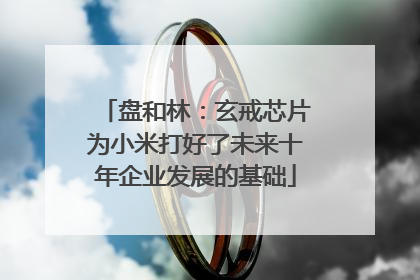 盘和林：玄戒芯片为小米打好了未来十年企业发展的基础