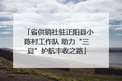 省供销社驻正阳县小陈村工作队 助力“三夏”护航丰收之路