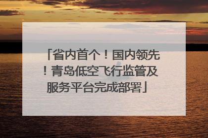 省内首个！国内领先！青岛低空飞行监管及服务平台完成部署