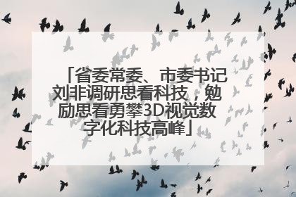省委常委、市委书记刘非调研思看科技，勉励思看勇攀3D视觉数字化科技高峰