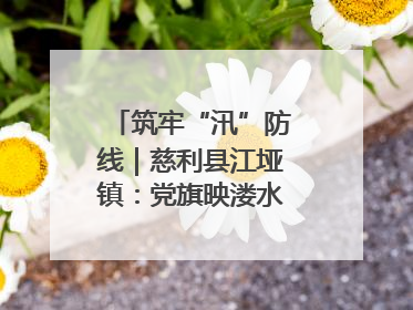 筑牢“汛”防线｜慈利县江垭镇：党旗映溇水 清淤见担当