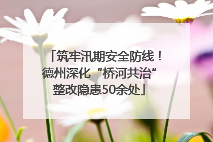 筑牢汛期安全防线！德州深化“桥河共治”整改隐患50余处