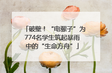 破壁！“电骡子”为774名学生筑起暴雨中的“生命方舟”