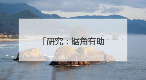 研究：锯角有助减少犀牛盗猎