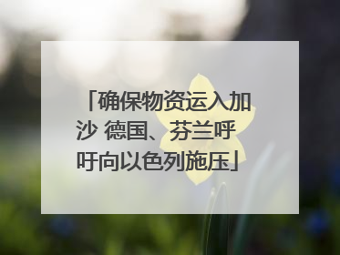 确保物资运入加沙 德国、芬兰呼吁向以色列施压