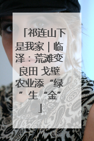 祁连山下是我家｜临泽：荒滩变良田 戈壁农业添“绿”生“金”
