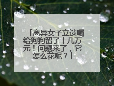 离异女子立遗嘱给狗狗留了十几万元！问题来了，它怎么花呢？