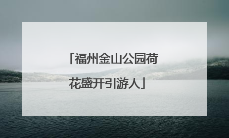 福州金山公园荷花盛开引游人