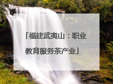 福建武夷山：职业教育服务茶产业