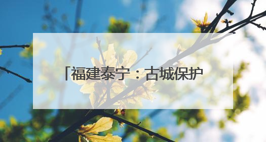 福建泰宁：古城保护中的“人民情结”