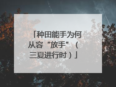 种田能手为何从容“放手”（三夏进行时）