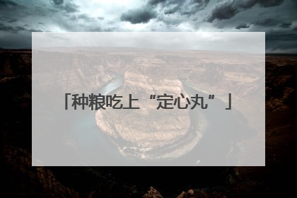 种粮吃上“定心丸”