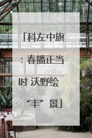 科左中旗：春播正当时 沃野绘“丰”景