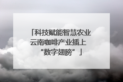 科技赋能智慧农业 云南咖啡产业插上“数字翅膀”