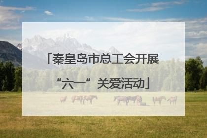 秦皇岛市总工会开展“六一”关爱活动