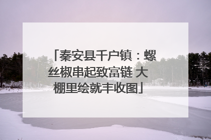 秦安县千户镇：螺丝椒串起致富链 大棚里绘就丰收图