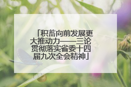 积蓄向前发展更大推动力——三论贯彻落实省委十四届九次全会精神