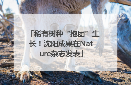 稀有树种“抱团”生长！沈阳成果在Nature杂志发表