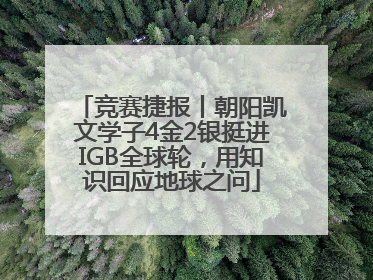 竞赛捷报丨朝阳凯文学子4金2银挺进IGB全球轮，用知识回应地球之问