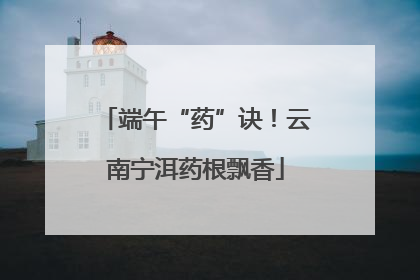 端午“药”诀！云南宁洱药根飘香