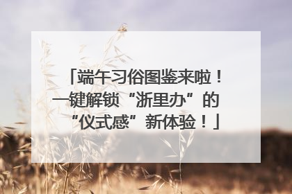 端午习俗图鉴来啦！一键解锁“浙里办”的“仪式感”新体验！