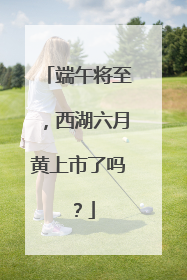 端午将至，西湖六月黄上市了吗？