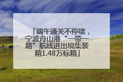 端午通关不停歇，宁波舟山港“一带一路”航线进出境集装箱1.48万标箱
