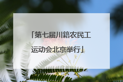 第七届川籍农民工运动会北京举行