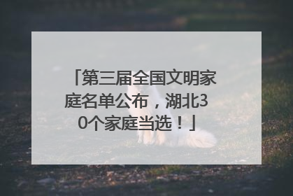 第三届全国文明家庭名单公布，湖北30个家庭当选！